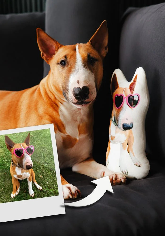 Print the ones you love — Custom-Shaped Pillow